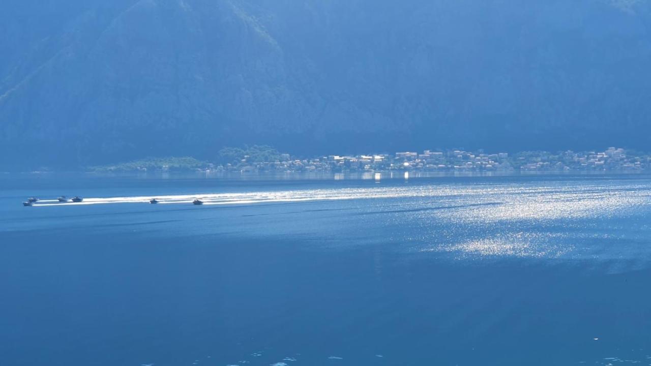 Magnolia Adriatic Apartment Kotor Exterior photo